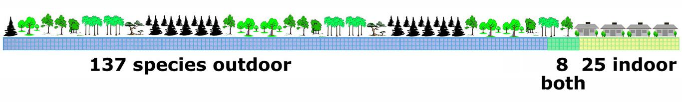 Diagram of species of spiders that live indoors vs outdoors