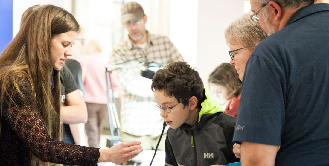 visitors looking at a specimen