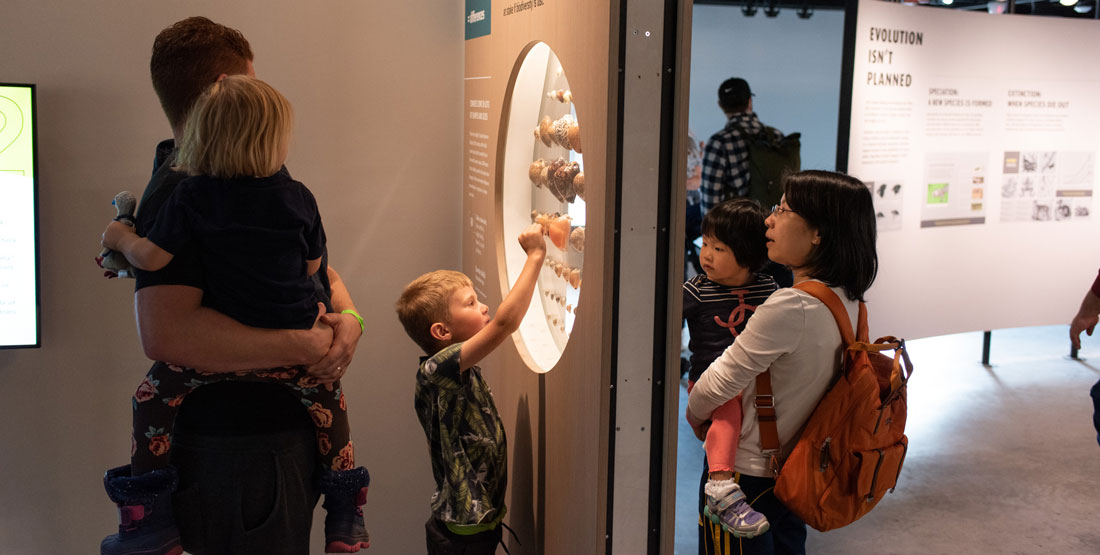 two families look at shells in the gallery