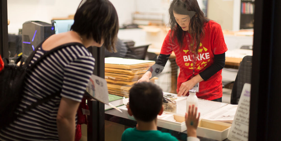 a visitor and a child look into the window of the biology workroom and watch as a volunteer creates an herbarium sheet