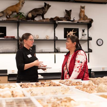 a woman talks with a burke researcher with shells out on the table