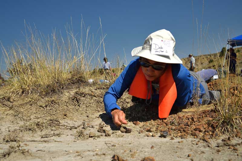 deb richardson in the field during the DIG 2023