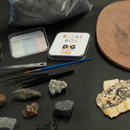 detail of the contents of the DIG Field School Microfossils Burke Box