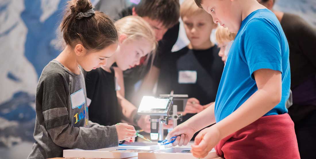 kids sort microfossils