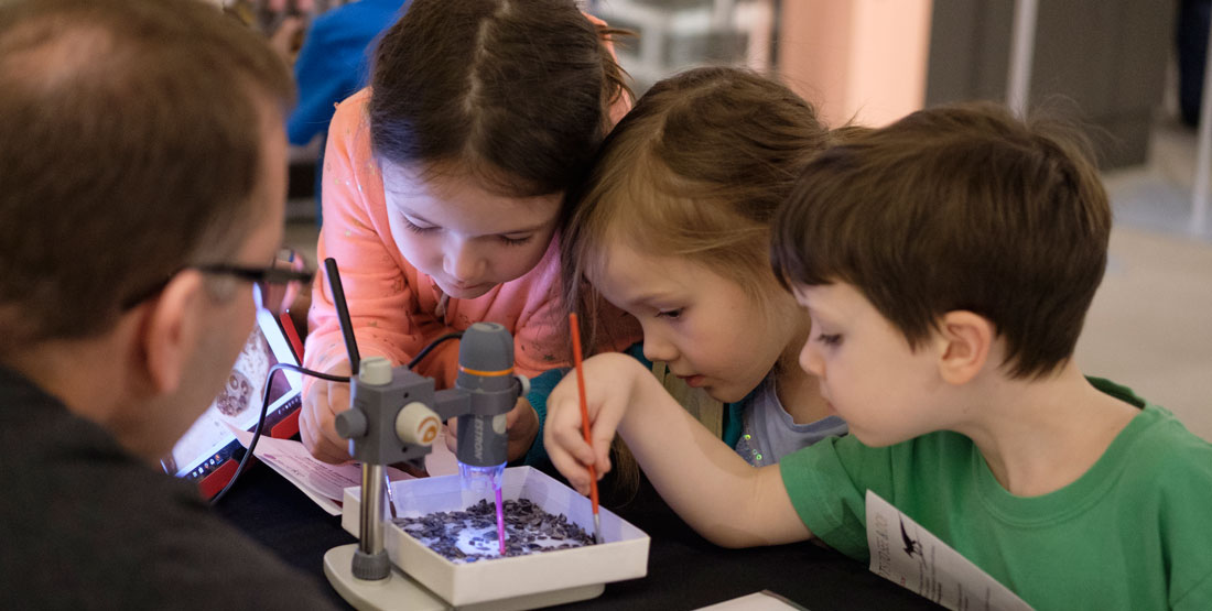 children looking at fossils through a microscope