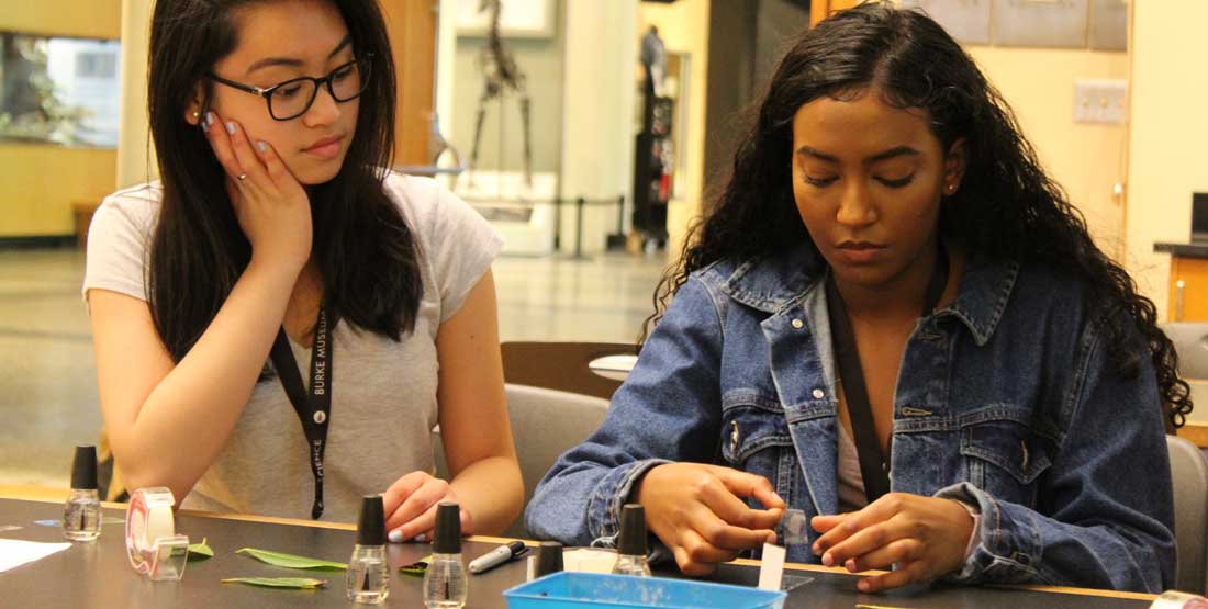 participants in the girls in science program at the burke