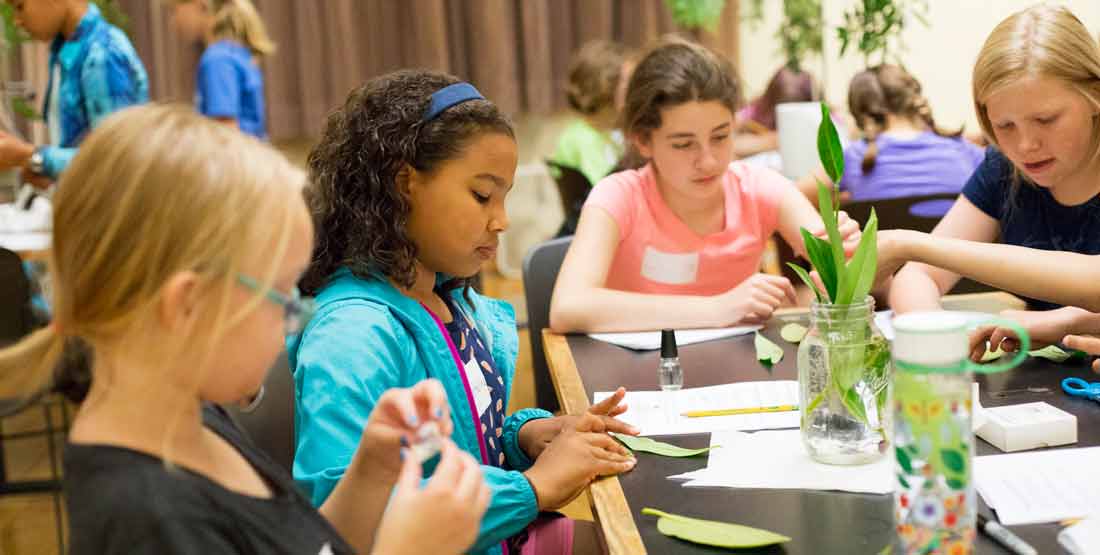 middle school girls in science participants