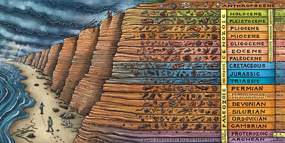 an illustration of a strat column in the cliffs of a beach