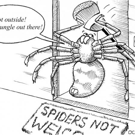 A comic showing a spider banging on a door