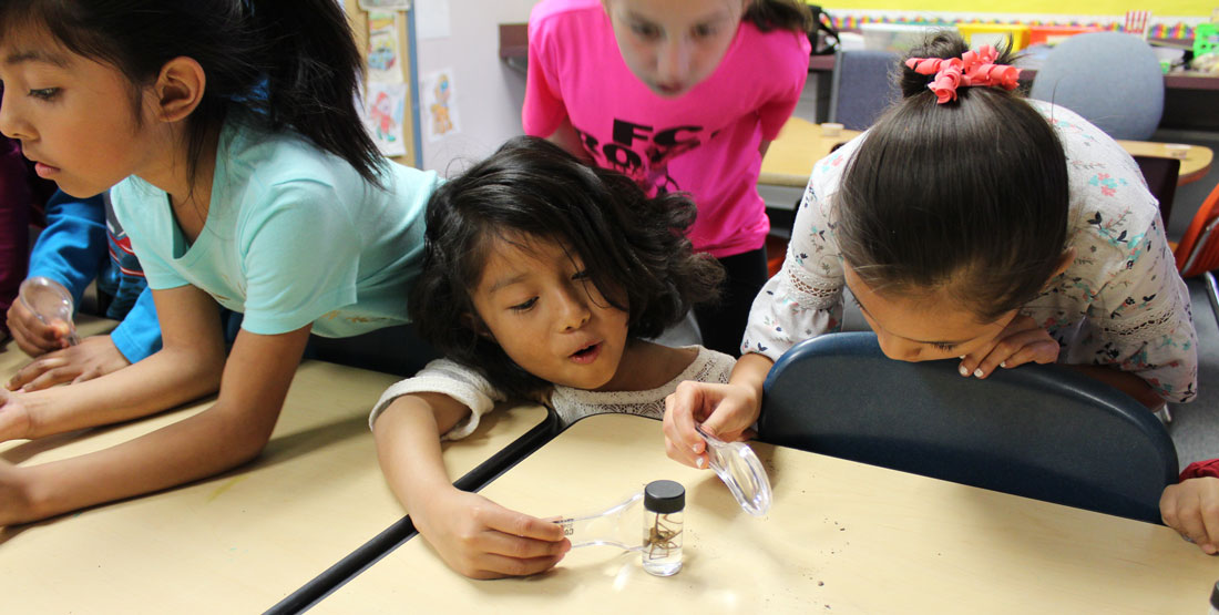 kids looking through magnifying glasses