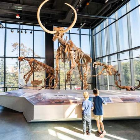 two kids stand in front of the ice age mammals display with a giant sloth, mammoth, and smilodon