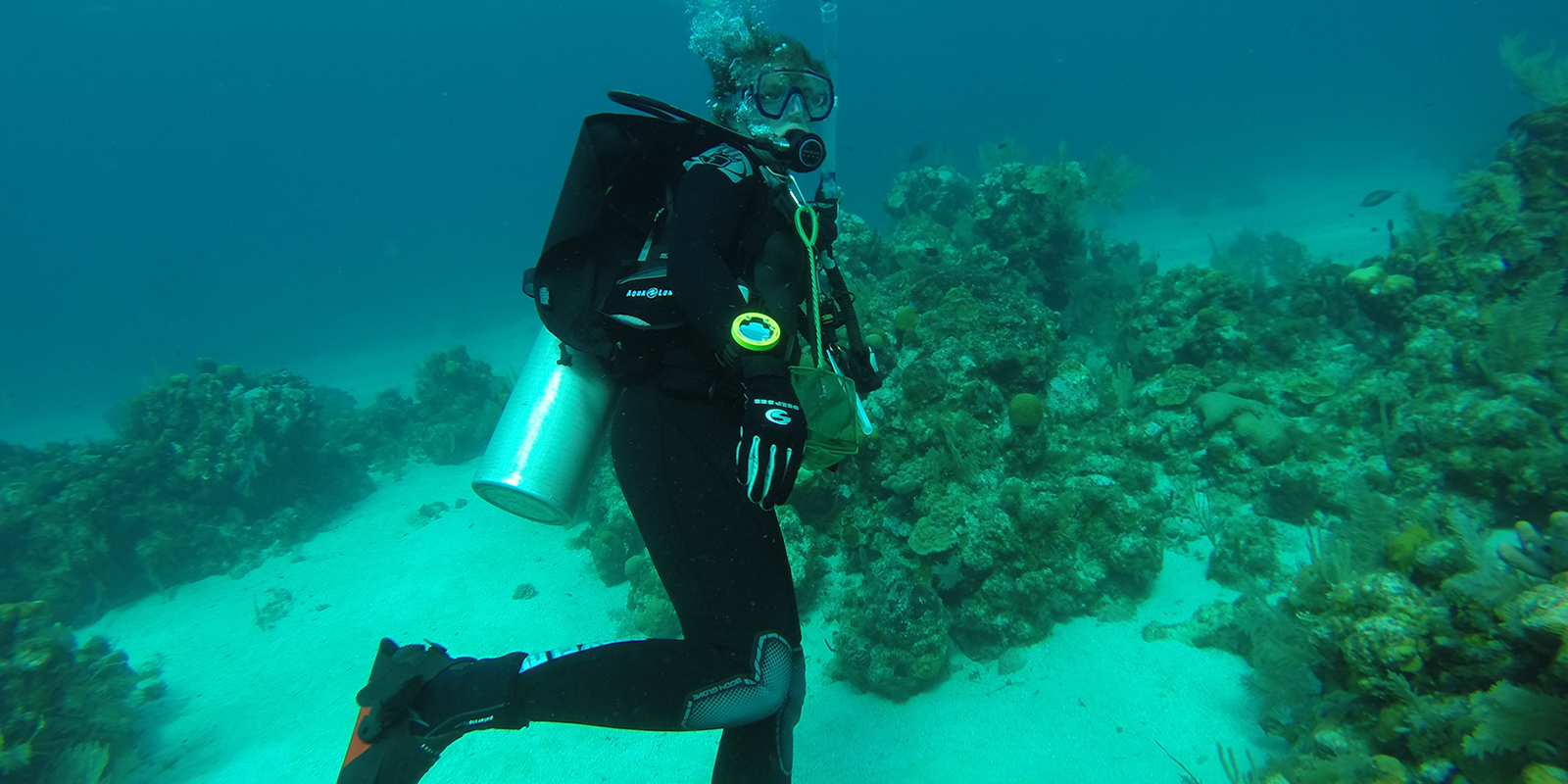 A female scuba diver swimming near a reef