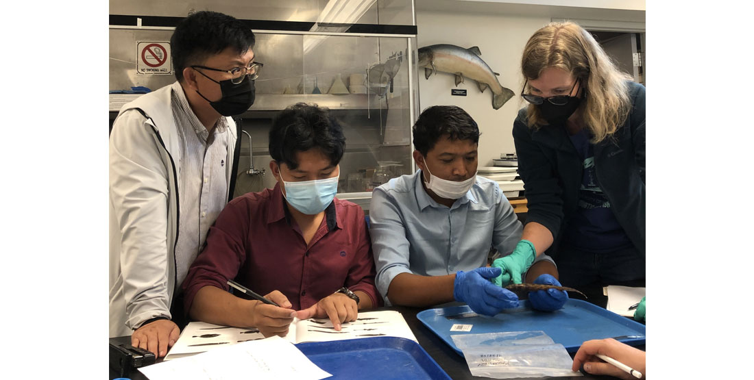 photo of the group of Cambodian scientists working in the fish collection.