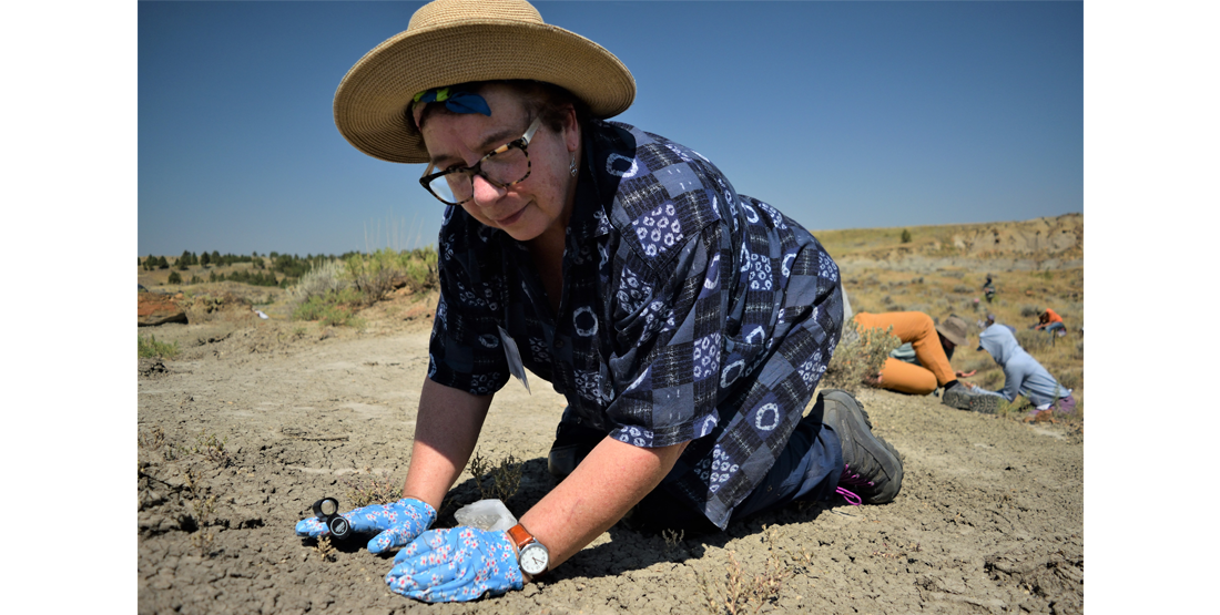 a participants looks closely at the ground for microfossils