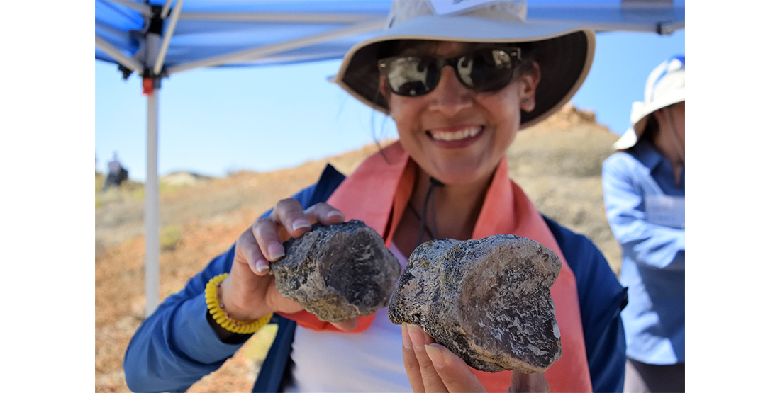 hadrosaur vertebrae