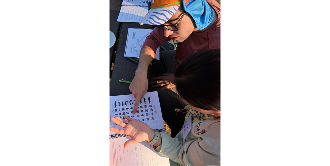 Participants work together using field guides to ID microfossils. 